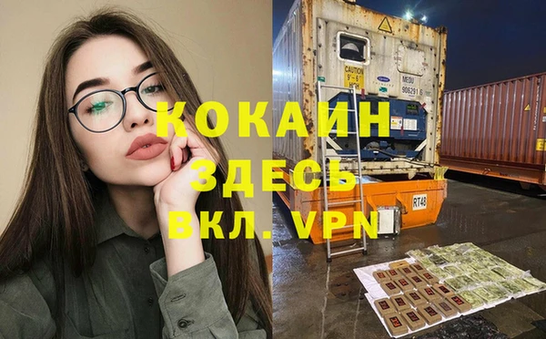 прущие грибы Бородино
