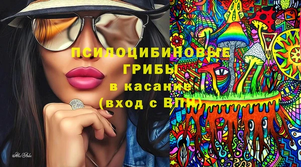прущие грибы Бородино