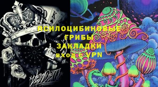 PSILOCYBIN Бронницы