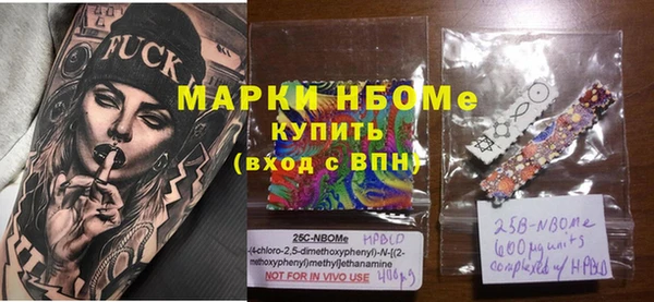 прущие грибы Бородино