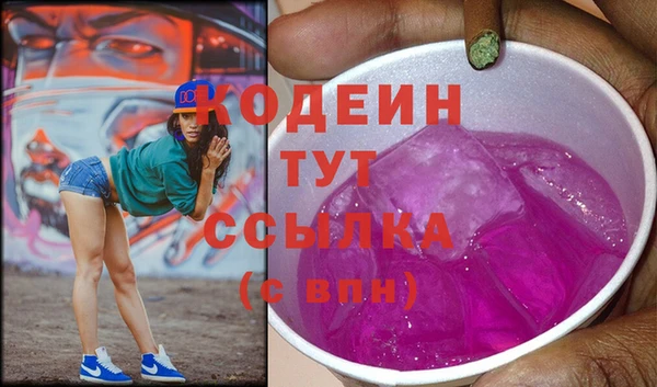 прущие грибы Бородино