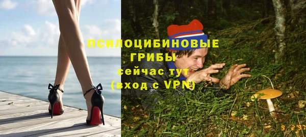 прущие грибы Бородино