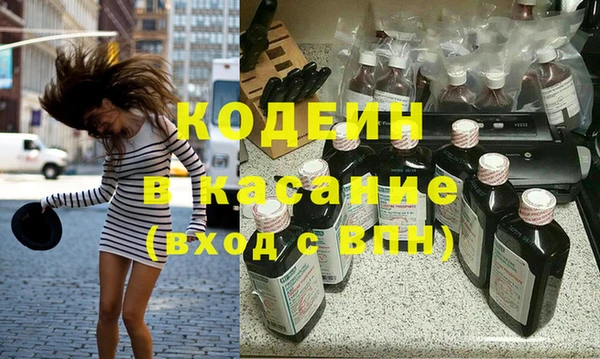 прущие грибы Бородино