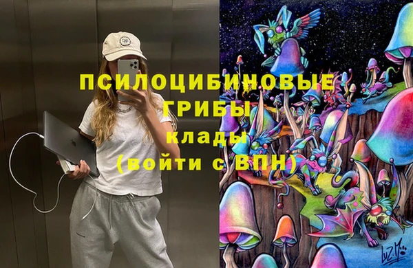 прущие грибы Бородино