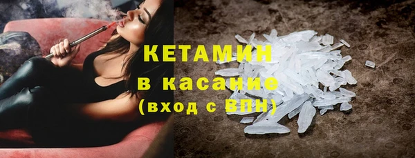прущие грибы Бородино